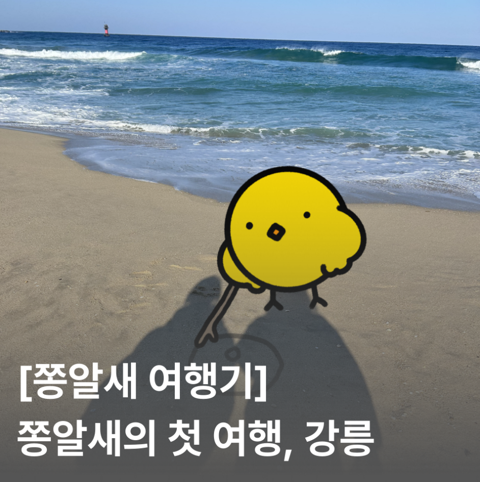 [쫑알새 여행기] 쫑알새의 첫 여행, 강릉 | 강릉 여행, 강릉 맛집, 강릉 가볼 만한 곳, 주문진