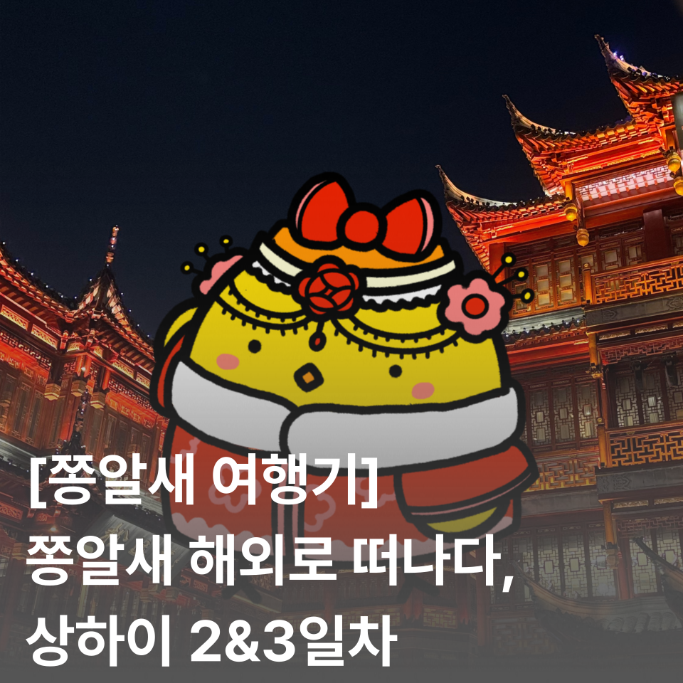 [쫑알새 여행기] 쫑알새 해외 진출, 상하이 여행 1일차 | 상하이 상해 맛집 가볼 만한 곳 여행 꿀팁 필수어플 미슐랭 라이라이샤오롱 헌지우이치엔 헤이티 차지티 왕홍 체험 후기