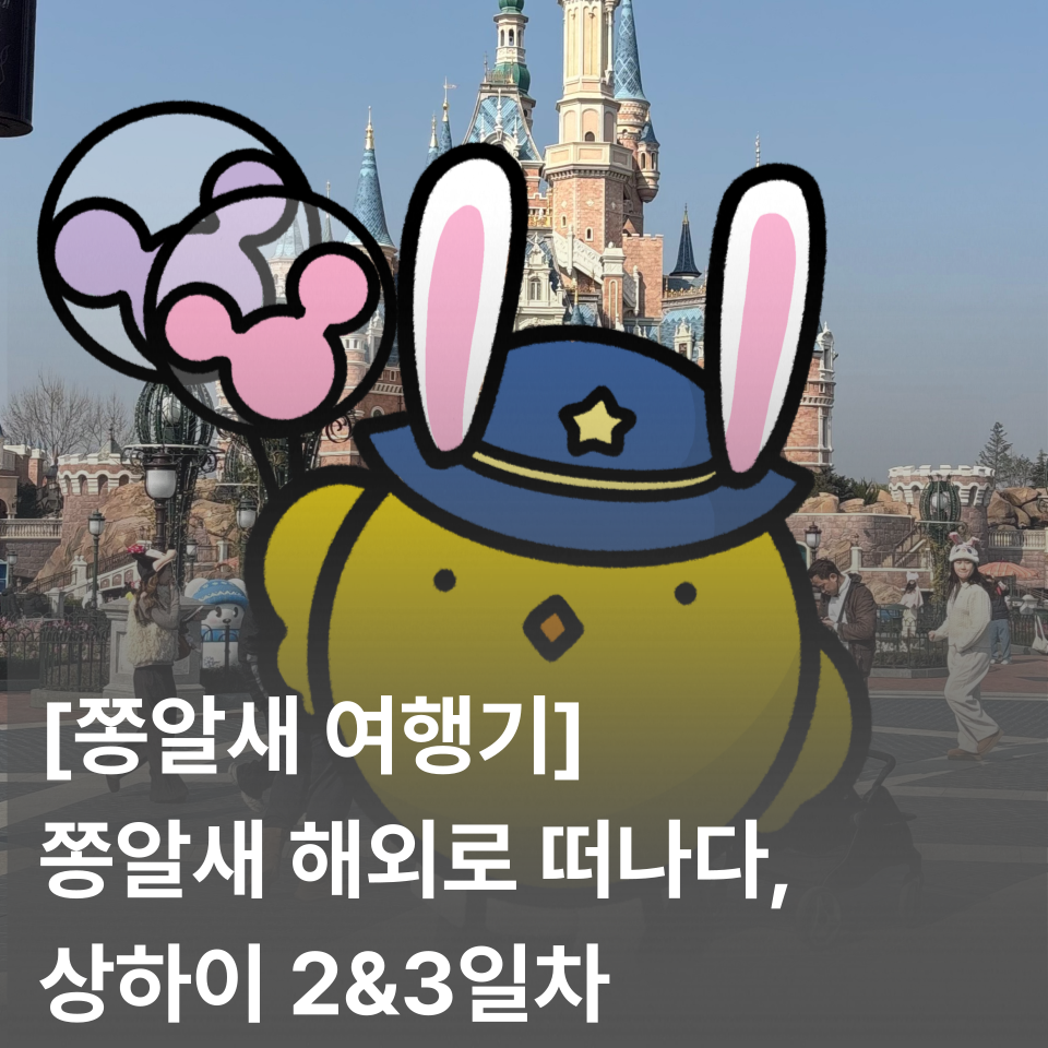 [쫑알새 여행기] 쫑알새 해외 진출, 상하이 여행 2&3일차 | 상하이 상해 맛집 가볼 만한 곳 여행 꿀팁 추천 디즈니랜드 주토피아 하이디라오 꾸이만롱 신천지 우캉멘션 와이탄
