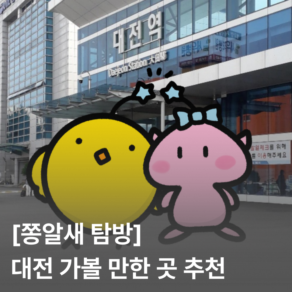 [쫑알새 탐방] 대전 가볼 만한 곳 추천 | 실내, 실외, 꿈돌이, 한화 볼파크, 한빛탑, 한밭수목원, 오월드, 소품샵, 고양이 카페